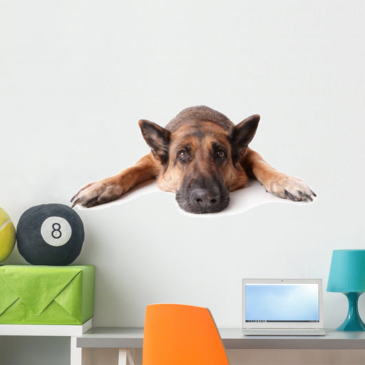 German Shephard Dog Laying Wall Decal