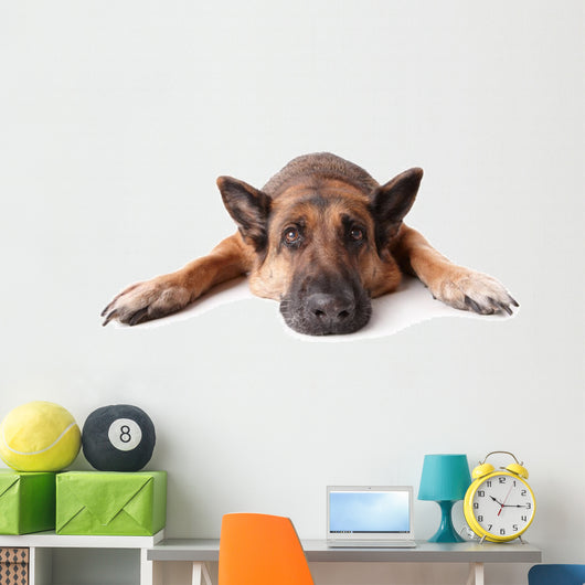 German Shephard Dog Laying Wall Decal