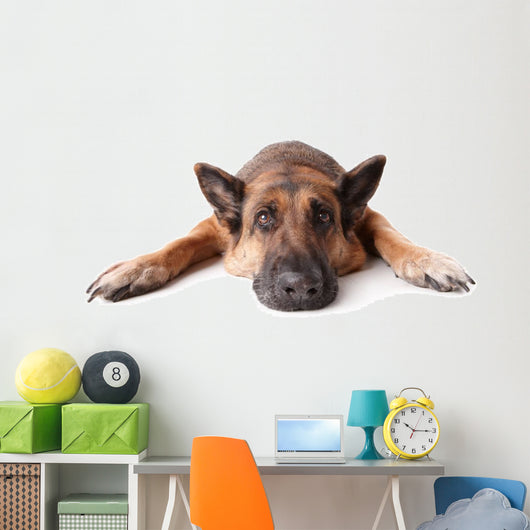 German Shephard Dog Laying Wall Decal