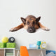 German Shephard Dog Laying Wall Decal