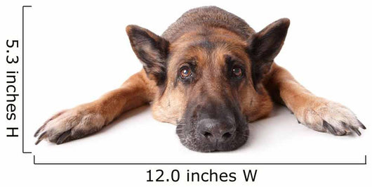 German Shephard Dog Laying Wall Decal
