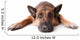 German Shephard Dog Laying Wall Decal