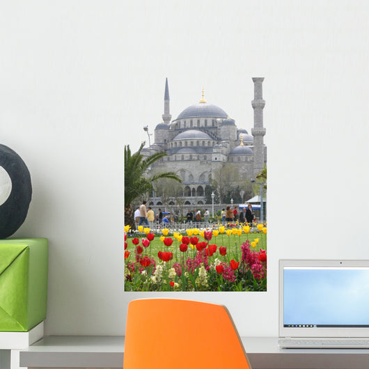 Blue Mosque in Istanbul Wall Mural