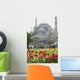 Blue Mosque in Istanbul Wall Mural