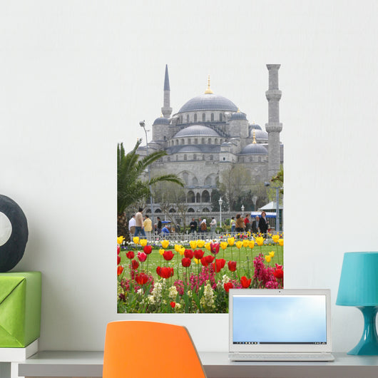 Blue Mosque in Istanbul Wall Mural