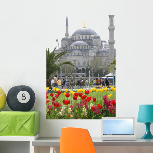 Blue Mosque in Istanbul Wall Mural