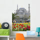 Blue Mosque in Istanbul Wall Mural
