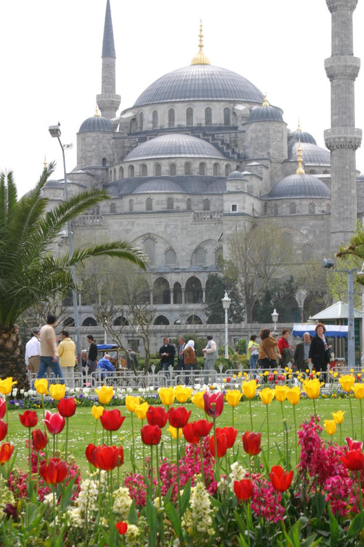 Blue Mosque in Istanbul Wall Mural