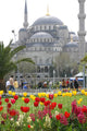 Blue Mosque in Istanbul Wall Mural