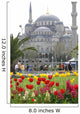 Blue Mosque in Istanbul Wall Mural