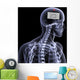 skeleton x-ray - out to lunch Wall Mural