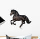 Black Horse Isolated on White Wall Decal