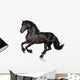 Black Horse Isolated on White Wall Decal