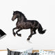 Black Horse Isolated on White Wall Decal