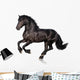 Black Horse Isolated on White Wall Decal