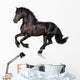 Black Horse Isolated on White Wall Decal