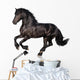 Black Horse Isolated on White Wall Decal