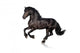 Black Horse Isolated on White Wall Decal