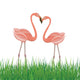 Two Flamingo in Love. Vector Illustration Wall Decal