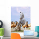 White Horse and Herd