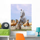 White Horse and Herd