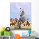 White Horse and Herd