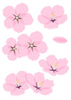 Cherry Blossom Sakura Wall Decal