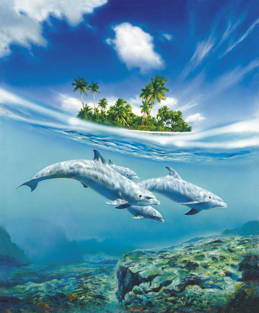 Dolphin Family