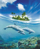 Dolphin Family