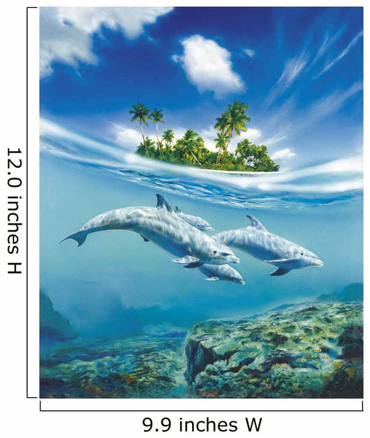 Dolphin Family