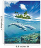 Dolphin Family