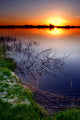 sunset by the lake Wall Mural
