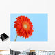 Pretty in Orange Wall Mural