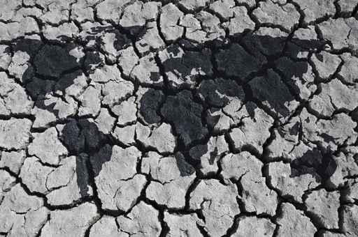 World Desert Wall Decal