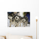 Sled Dog Race