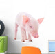 Pig Wall Decal
