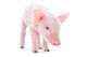 Pig Wall Decal