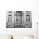 Trevi Fountain Wall Mural