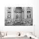 Trevi Fountain Wall Mural
