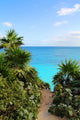 Cancun Landscape Wall Mural