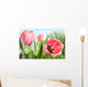 Colorful Spring Tulips Tall