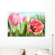 Colorful Spring Tulips Tall