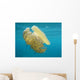 Jelly Fish in Greece Wall Mural