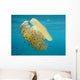 Jelly Fish in Greece Wall Mural