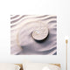 Mollusk Cross Section