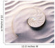 Mollusk Cross Section