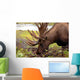 Moose in Alaska Wall Mural
