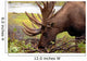 Moose in Alaska Wall Mural