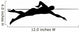 Swimmer