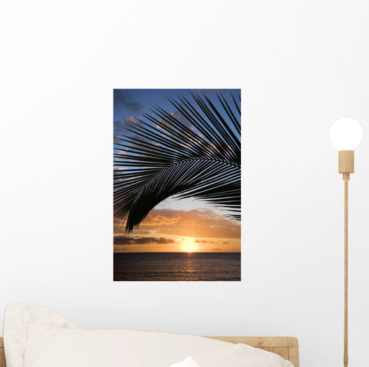 sunset framed by palm, maui, hawaii. Wall Mural